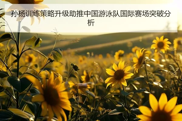孙杨训练策略升级助推中国游泳队国际赛场突破分析